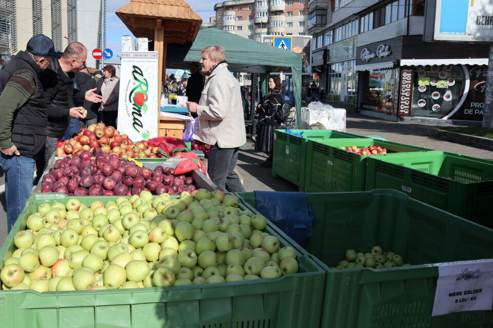 Ediția aniversară a Târgului Mărului – o sărbătoare a roadelor și a tradiției