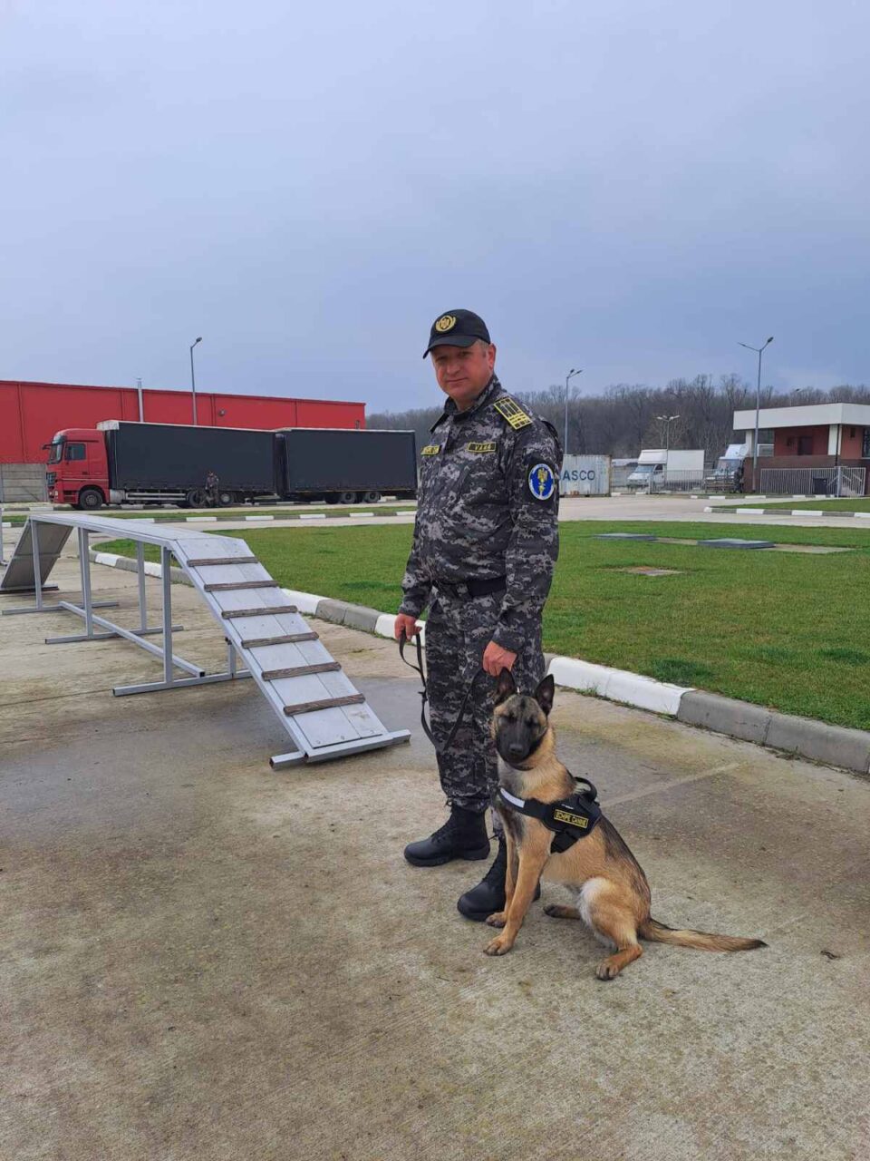 Câinii de serviciu Kira și Paco, folosiți la identificarea unui transport ilegal de tutun dintr-un microbuz