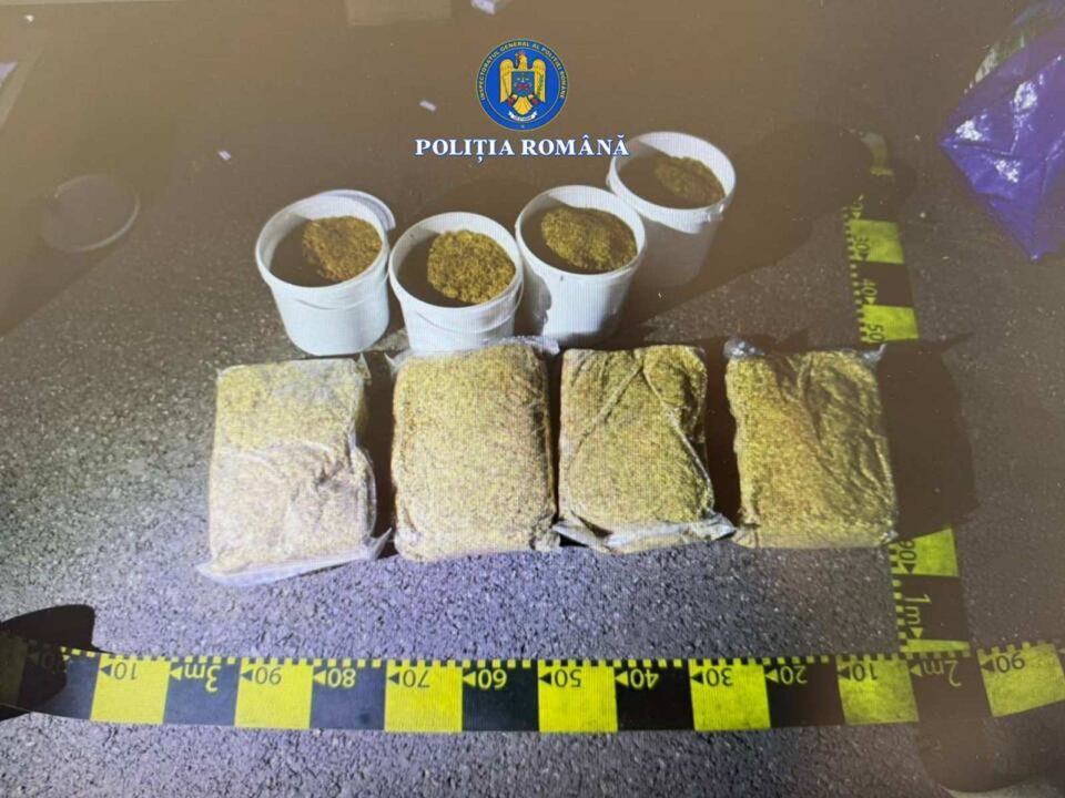Câinii de serviciu Kira și Paco, folosiți la identificarea unui transport ilegal de tutun dintr-un microbuz