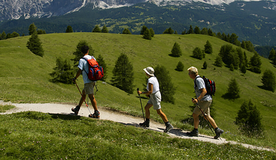 “O frumoasă excursiune” (I)