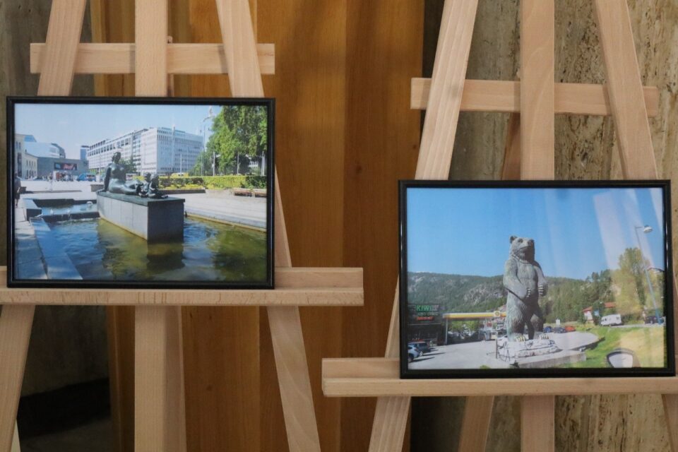 „Pe urmele vikingilor”, într-o expoziție fotografică reportaj lansată la Fălticeni de Constantin Bulboacă