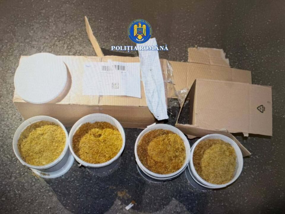 Câinii de serviciu Kira și Paco, folosiți la identificarea unui transport ilegal de tutun dintr-un microbuz