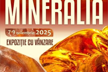 Chihlimbarul, „vedeta” expoziției cu vânzare „Mineralia”, de la Muzeul de Științele Naturii Suceava