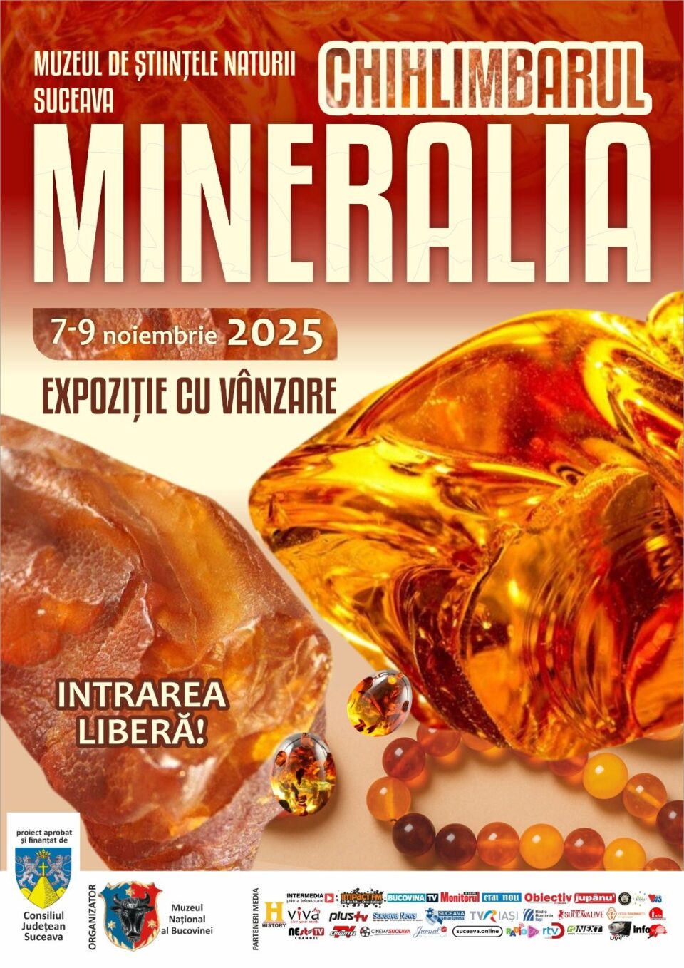 Chihlimbarul, „vedeta” expoziției cu vânzare „Mineralia”, de la Muzeul de Științele Naturii Suceava