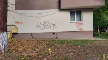 Clădiri din centrul municipiul Suceava, mâzgălite de „artiști urbani”. Poliția caută autorii