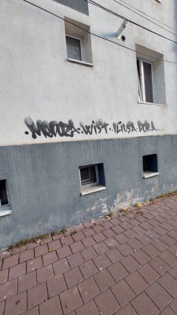 Clădiri din centrul municipiul Suceava, mâzgălite de „artiști urbani”. Poliția caută autorii