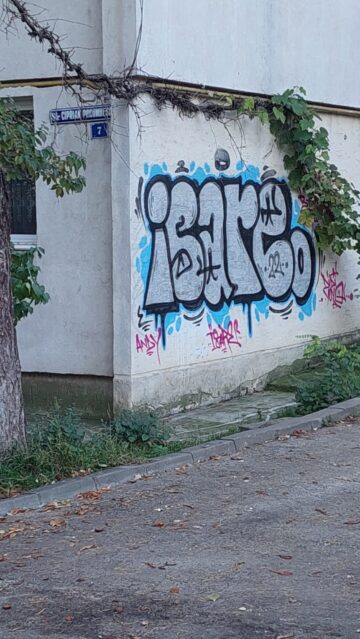 Clădiri din centrul municipiul Suceava, mâzgălite de „artiști urbani”. Poliția caută autorii