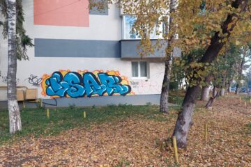 Clădiri din centrul municipiul Suceava, mâzgălite de „artiști urbani”. Poliția caută autorii