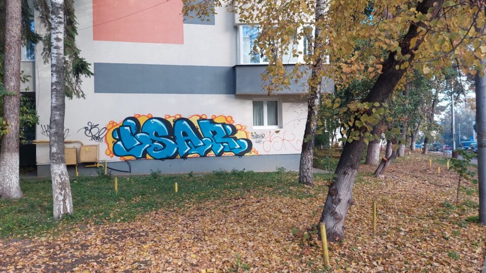 Clădiri din centrul municipiul Suceava, mâzgălite de „artiști urbani”. Poliția caută autorii
