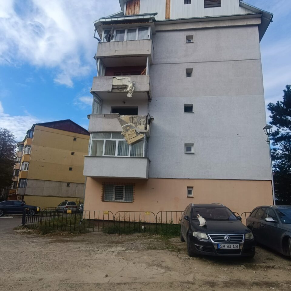Pisicile au pus stăpânire pe scara inchisă