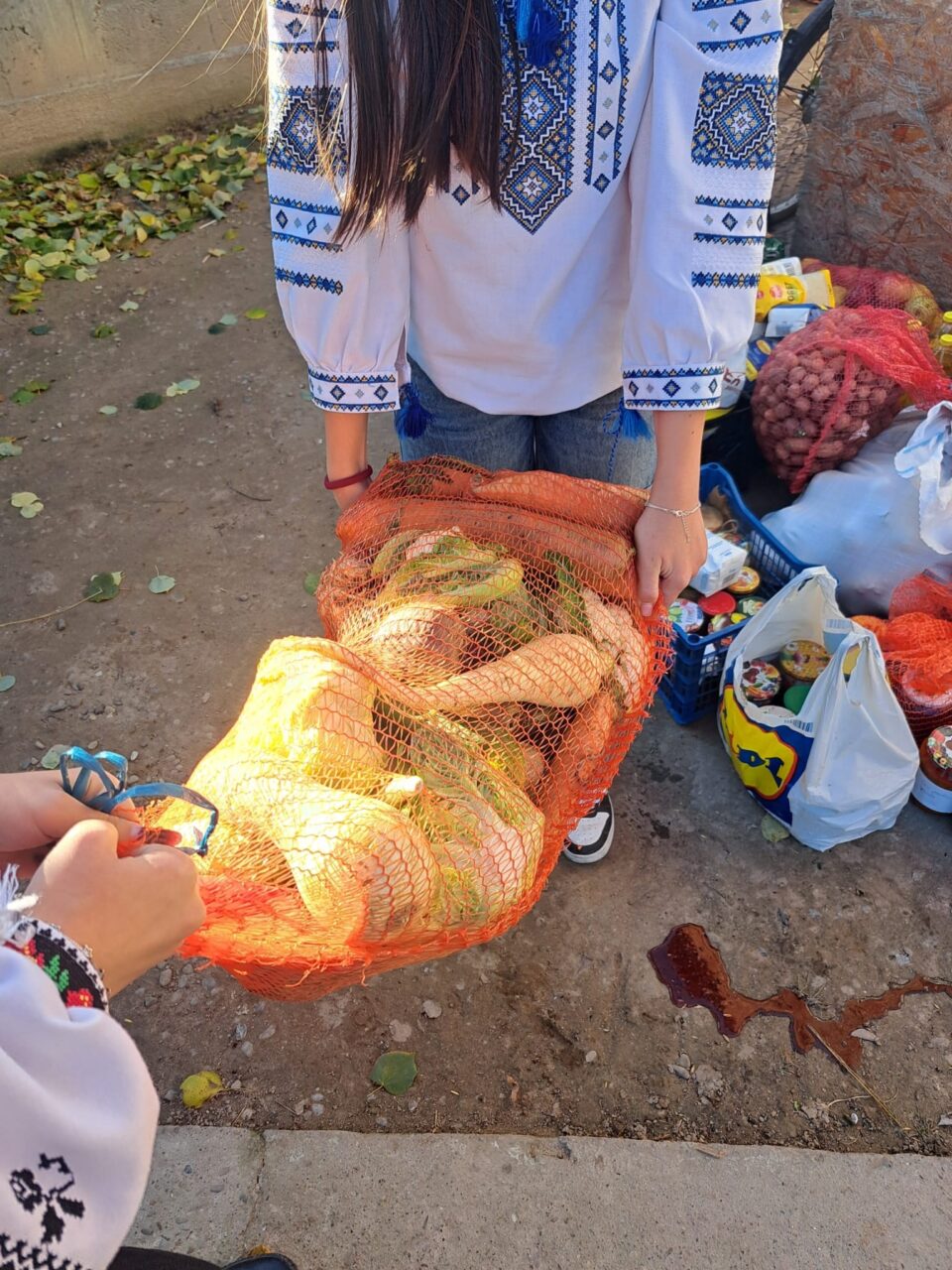 Toamna darnică a educației: parteneriatul care unește școala, familia și comunitatea la Liteni