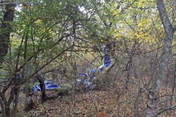 Un om de afaceri sucevean, mort după ce s-a prăbușit cu avionul, la Vaslui