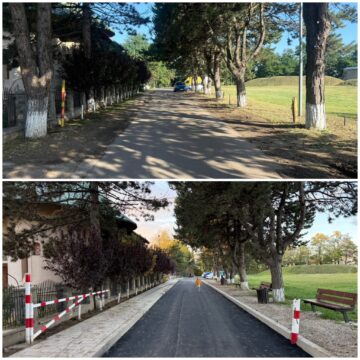 Stație de autobuz pentru transportul metropolitan, amenajată la Dom Polski