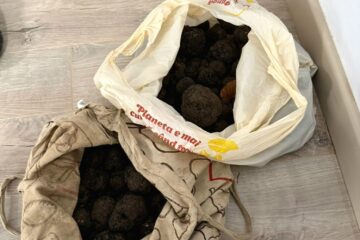 Doi bărbați, amendați și lăsați fără 6,6 kg de trufe Doi bărbați, amendați și lăsați fără 6,6 kg de trufe