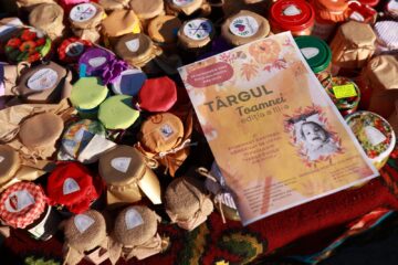 „Târgul Toamnei”, eveniment caritabil organizat de Liceul Tehnologic Moldovița pentru Ava Maria, o fetiță bolnavă