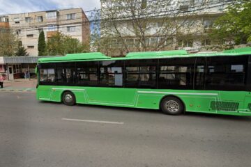 Statie TPL Obcini - Flori Statie TPL Obcini - Flori