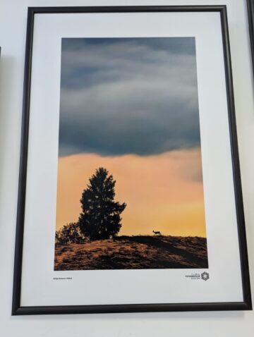 „Bucovina – Pe dealuri neumblate IV”, 30 de fotografii, 21 de expozanți, la Galeria de artă Zamca