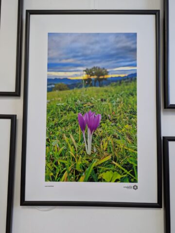 „Bucovina – Pe dealuri neumblate IV”, 30 de fotografii, 21 de expozanți, la Galeria de artă Zamca