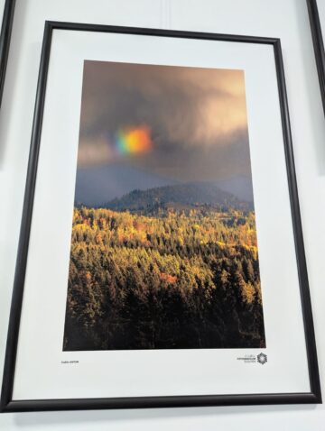 „Bucovina – Pe dealuri neumblate IV”, 30 de fotografii, 21 de expozanți, la Galeria de artă Zamca