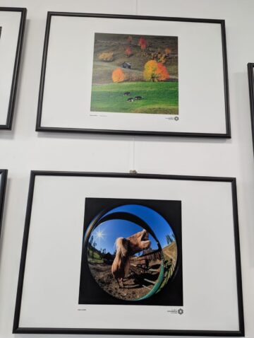 „Bucovina – Pe dealuri neumblate IV”, 30 de fotografii, 21 de expozanți, la Galeria de artă Zamca