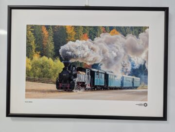 „Bucovina – Pe dealuri neumblate IV”, 30 de fotografii, 21 de expozanți, la Galeria de artă Zamca