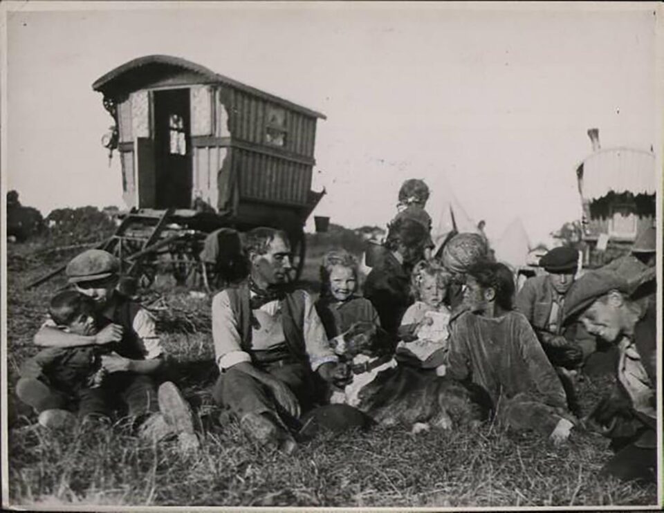 „Ţiganul, purcelul şi căţelul…” „Ţiganul, purcelul şi căţelul…”