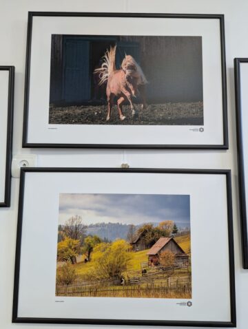 „Bucovina – Pe dealuri neumblate IV”, 30 de fotografii, 21 de expozanți, la Galeria de artă Zamca