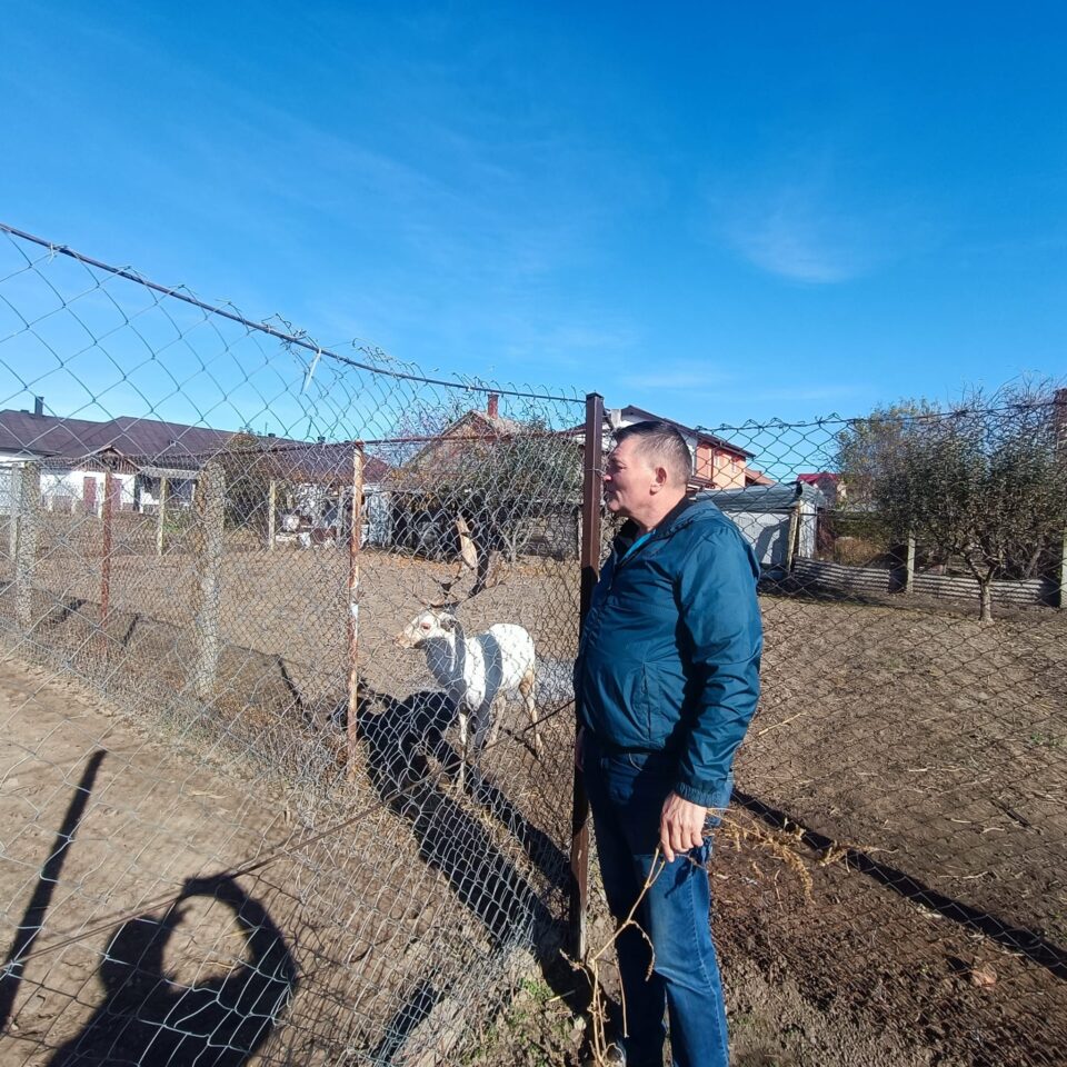 Struți africani și păsările emu, ultimele atracții de la micul colț zoo de la Ițcani al fermierului Mihai Flutur