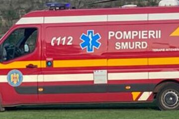 Autospecială SMURD, oprită din drum de un căprior care i-a ieșit în față Autospecială SMURD, oprită din drum de un căprior care i-a ieșit în față