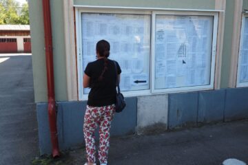 Peste 400 de dacăli vor să-şi obțină definitivatul în învățământ, cel mai mare număr din ultimii ani Peste 400 de dacăli vor să-şi obțină definitivatul în învățământ, cel mai mare număr din ultimii ani