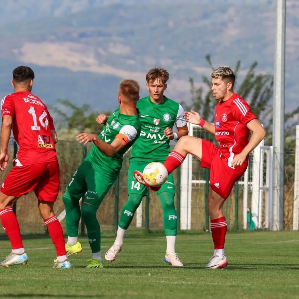 La Șoimii a început curățenia de iarnă La Șoimii a început curățenia de iarnă