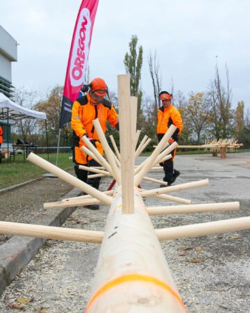 Reprezentantul Sucevei, loc fruntaș la competiția „Cel mai bun fasonator mecanic”