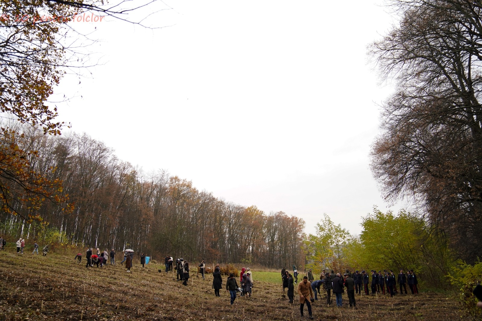 Proiectul „10 pentru folclor”, la ceas aniversar. Zece ani de activități educative și spectacole remarcabile