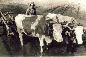 “Mort de frică”