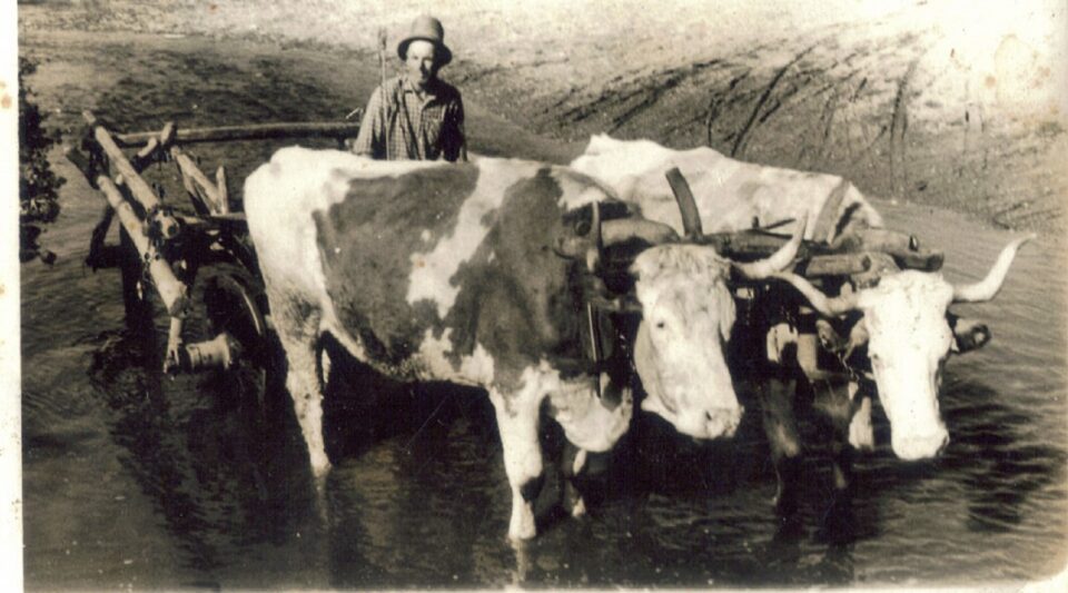 “Mort de frică”