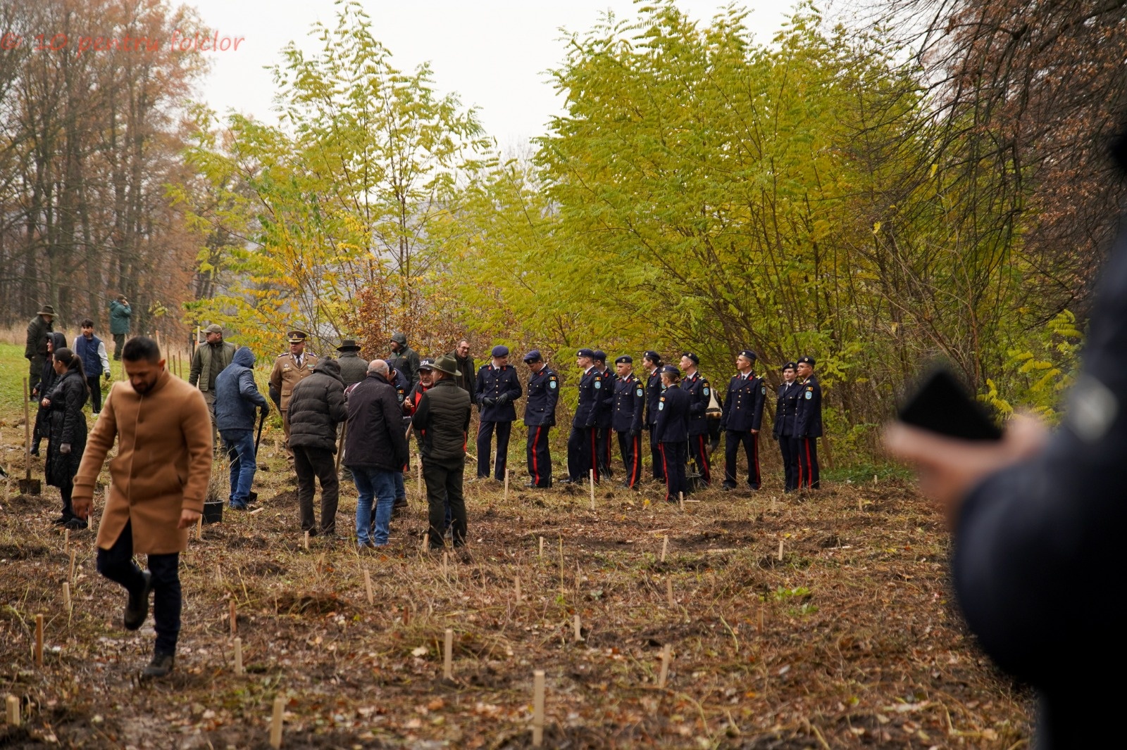 Proiectul „10 pentru folclor”, la ceas aniversar. Zece ani de activități educative și spectacole remarcabile
