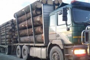 Tir care transporta lemne cu avize false, indisponibilizat de polițiști Tir care transporta lemne cu avize false, indisponibilizat de polițiști