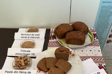 Două medalii de aur câștigate de cercetătorii din cadrul Facultății de Inginerie Alimentară a USV