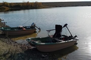 Cum se nasc dușmanii și despre iertare…