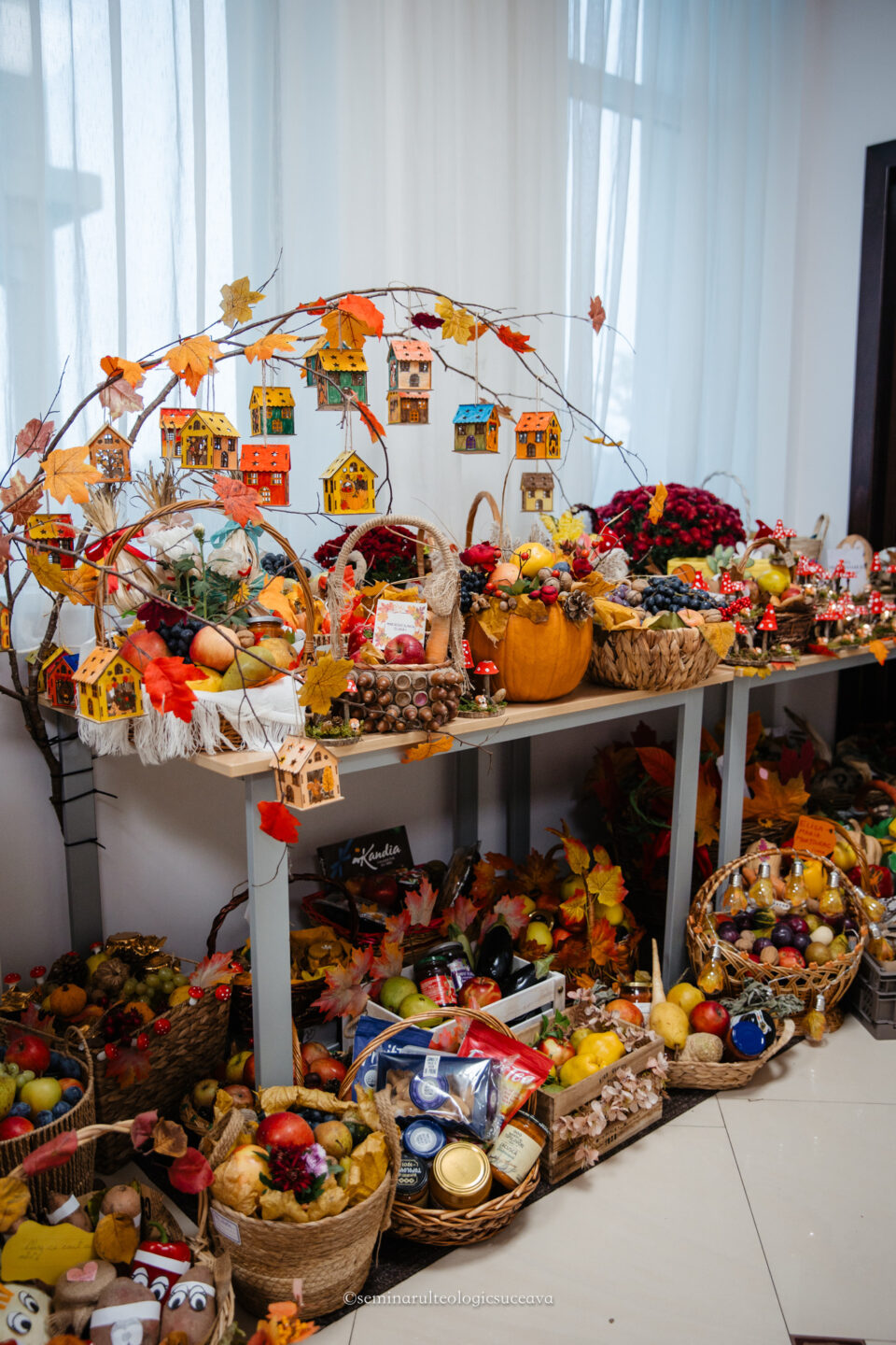 Târgul de Toamnă – Lecția de Omenie din Inima Școlii Noastre