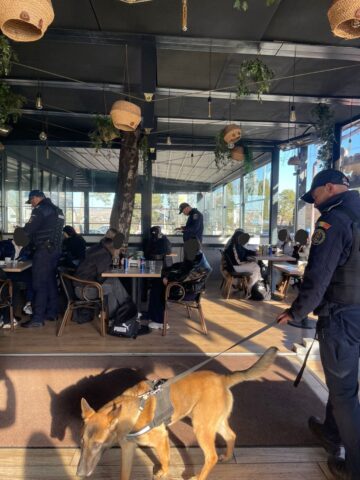 250 de elevi, găsiți în localuri, în miezul zilei, după o razie a Poliției la Fălticeni