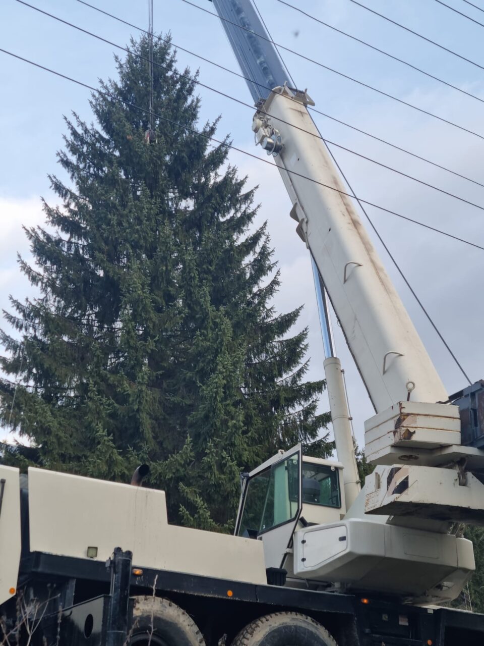 Un molid de 25 de metri, de la OS Breaza, pomul de sărbători din inima cartierului Burdujeni