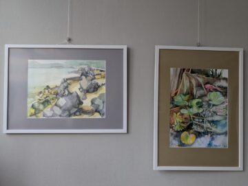 Expoziția „Organic”, semnată de Ana-Maria Ovadiuc AMO, la Galeria de Artă „Ion Irimescu” Suceava