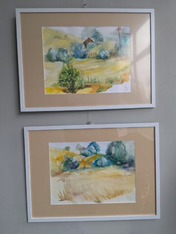 Expoziția „Organic”, semnată de Ana-Maria Ovadiuc AMO, la Galeria de Artă „Ion Irimescu” Suceava