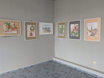 Expoziția „Organic”, semnată de Ana-Maria Ovadiuc AMO, la Galeria de Artă „Ion Irimescu” Suceava