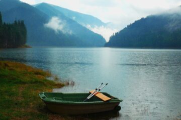 Bullshit jobs, dependențe de elită, reziliență și sens