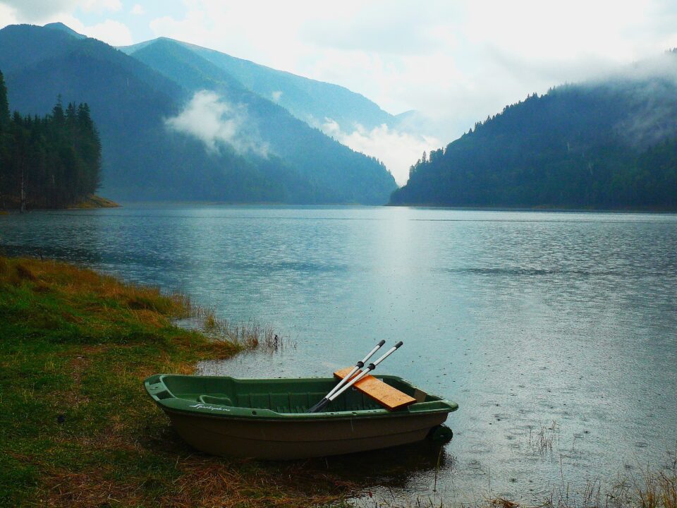 Bullshit jobs, dependențe de elită, reziliență și sens Bullshit jobs, dependențe de elită, reziliență și sens