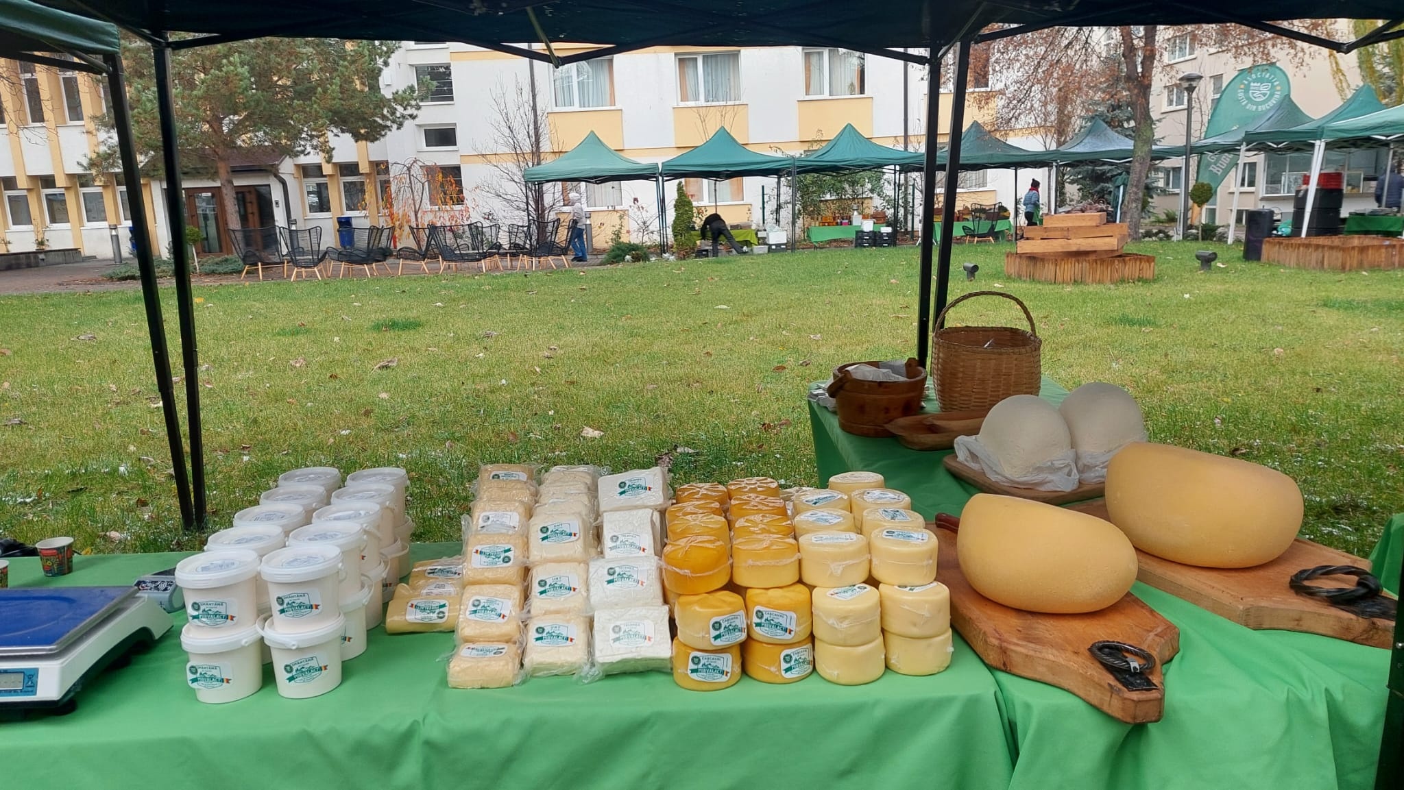 Zacuscă de mere și morcov sau de praz, pâine cu maia sălbatică, miere cu mentă, în oferta pieței volante din Campusul Universității