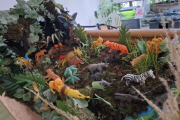 Premierea concursului de machete „Muzeul de Științele Naturii în imaginația copiilor”, ediția a X-a