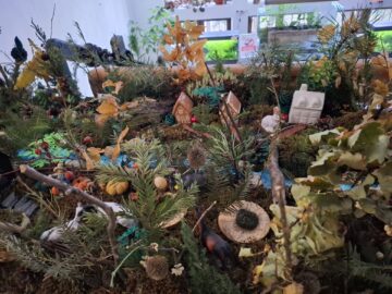 Premierea concursului de machete „Muzeul de Științele Naturii în imaginația copiilor”, ediția a X-a